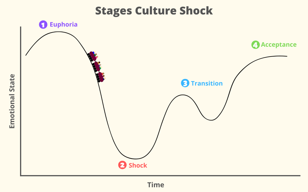 Culture Shock Graphic