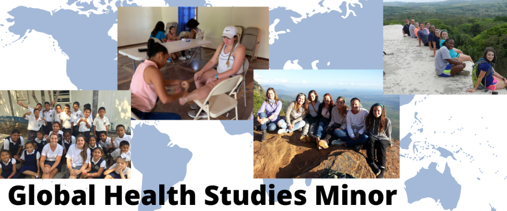 global health studies header