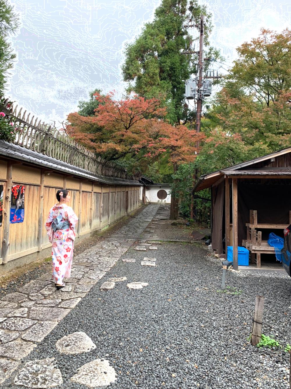 Kyoto Maiko